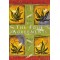 The Four Agreements : A Practical Guide to Personal Freedom